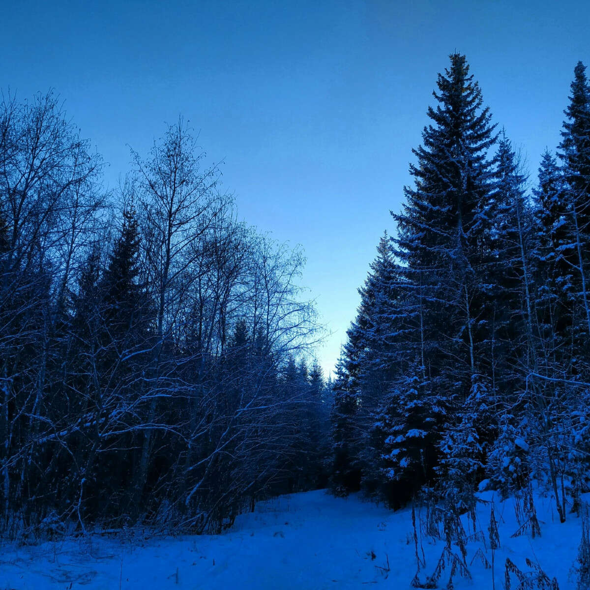image-0