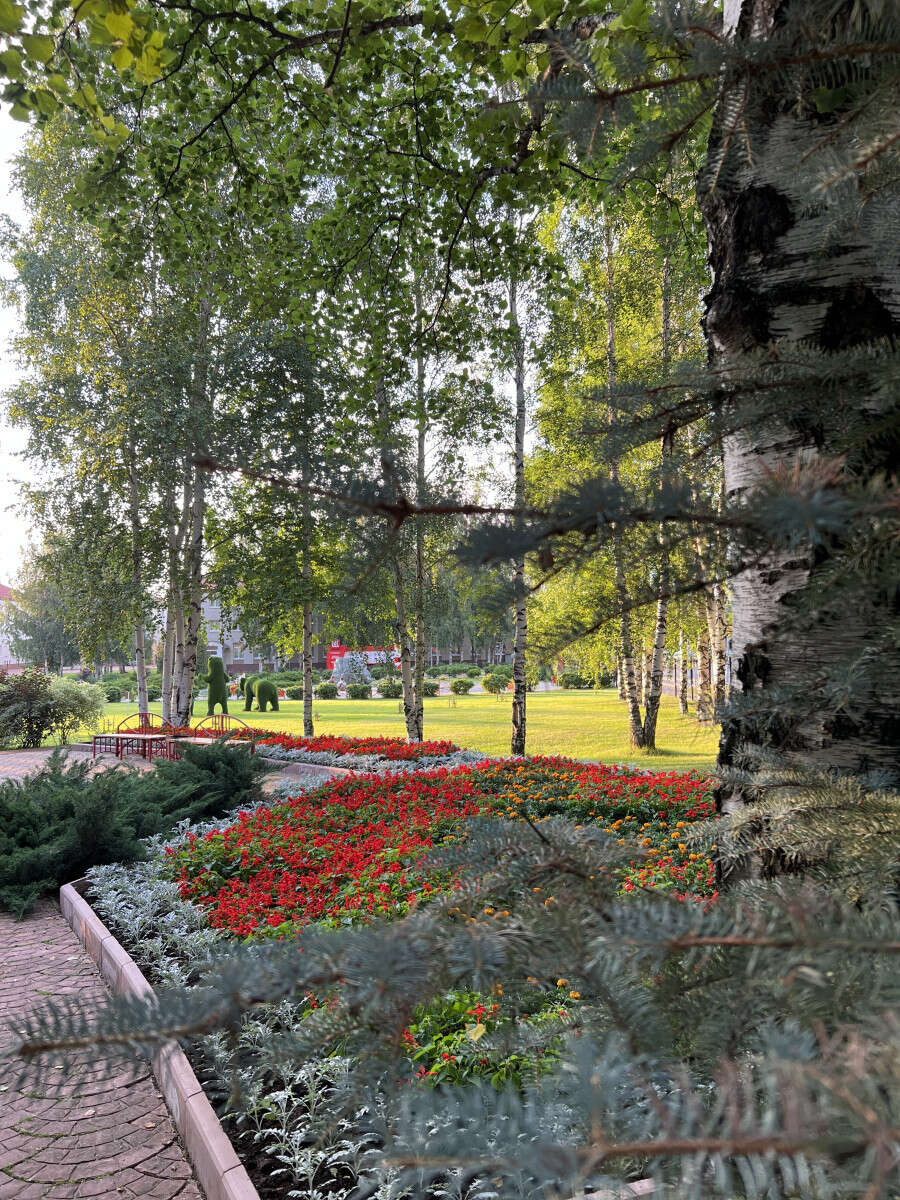 image-2