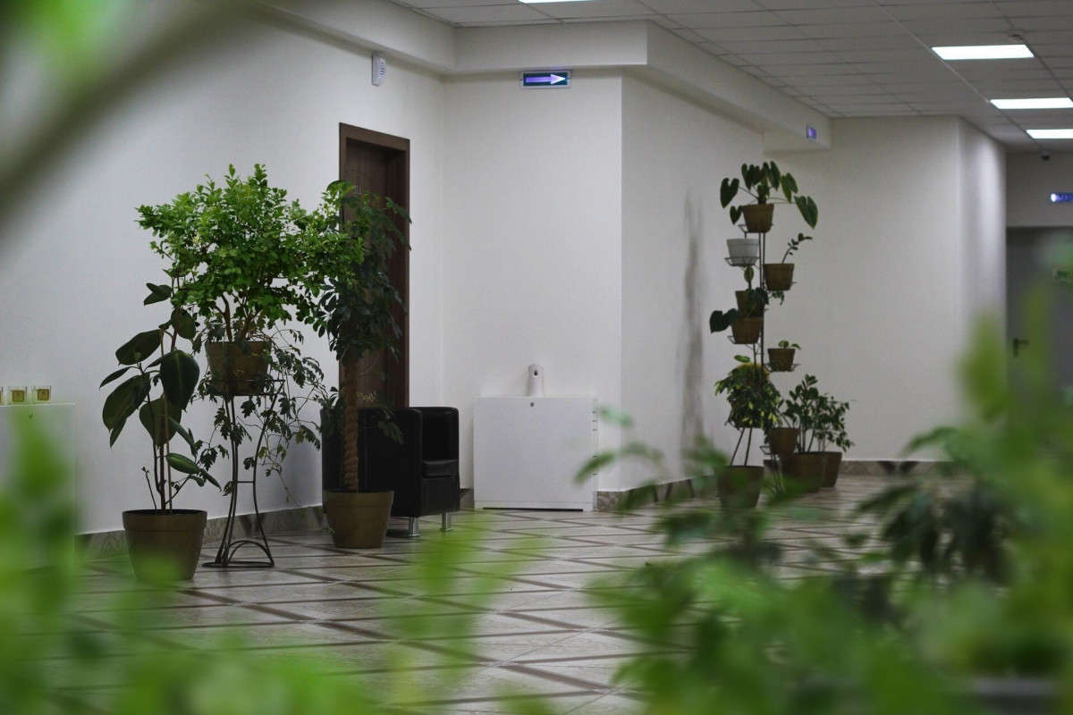 image-0
