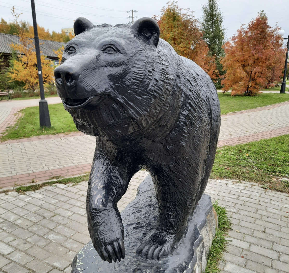 image-1