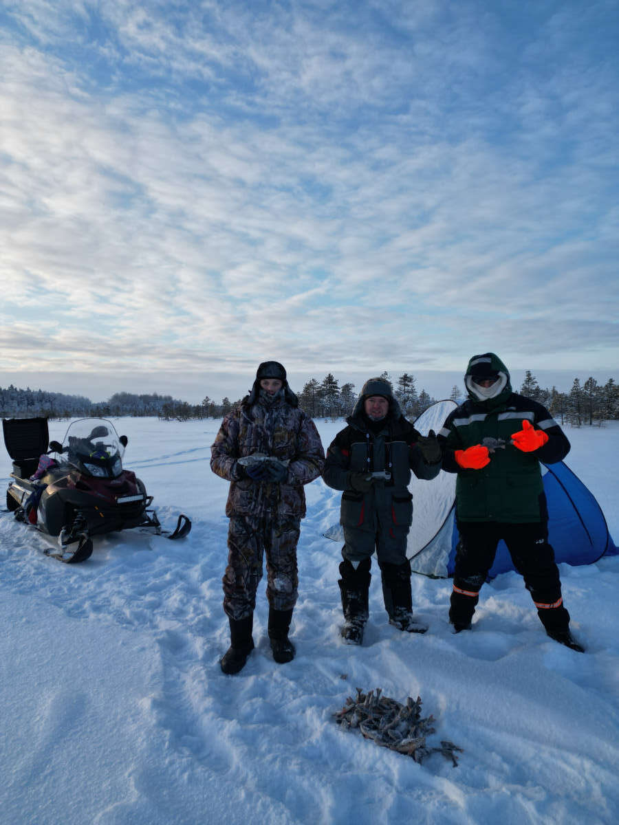 image-2