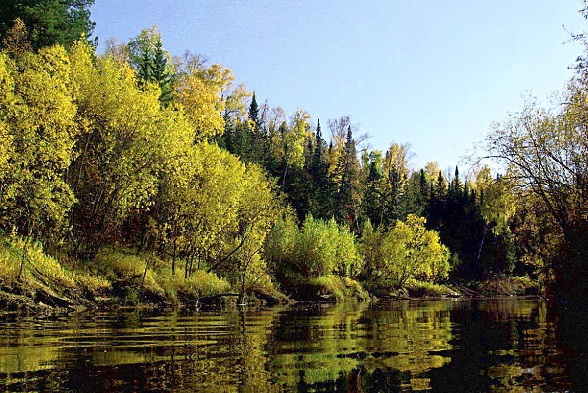 image-5