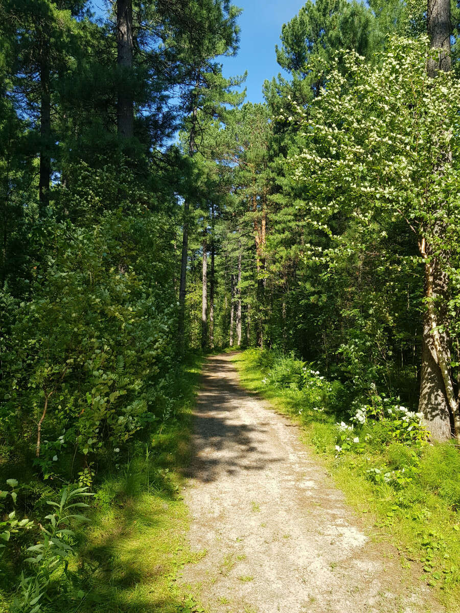 image-0