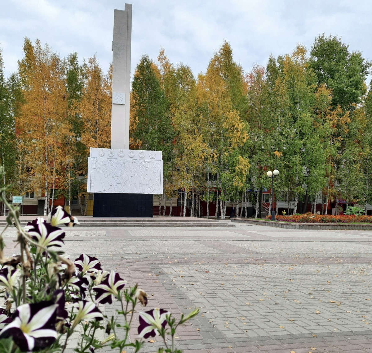 image-3