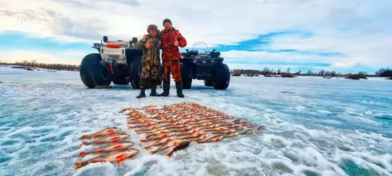Изображение 6