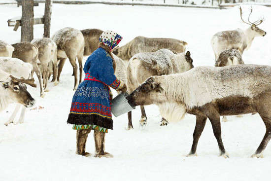 Этностойбище Русскиных