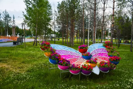 Изображение 5