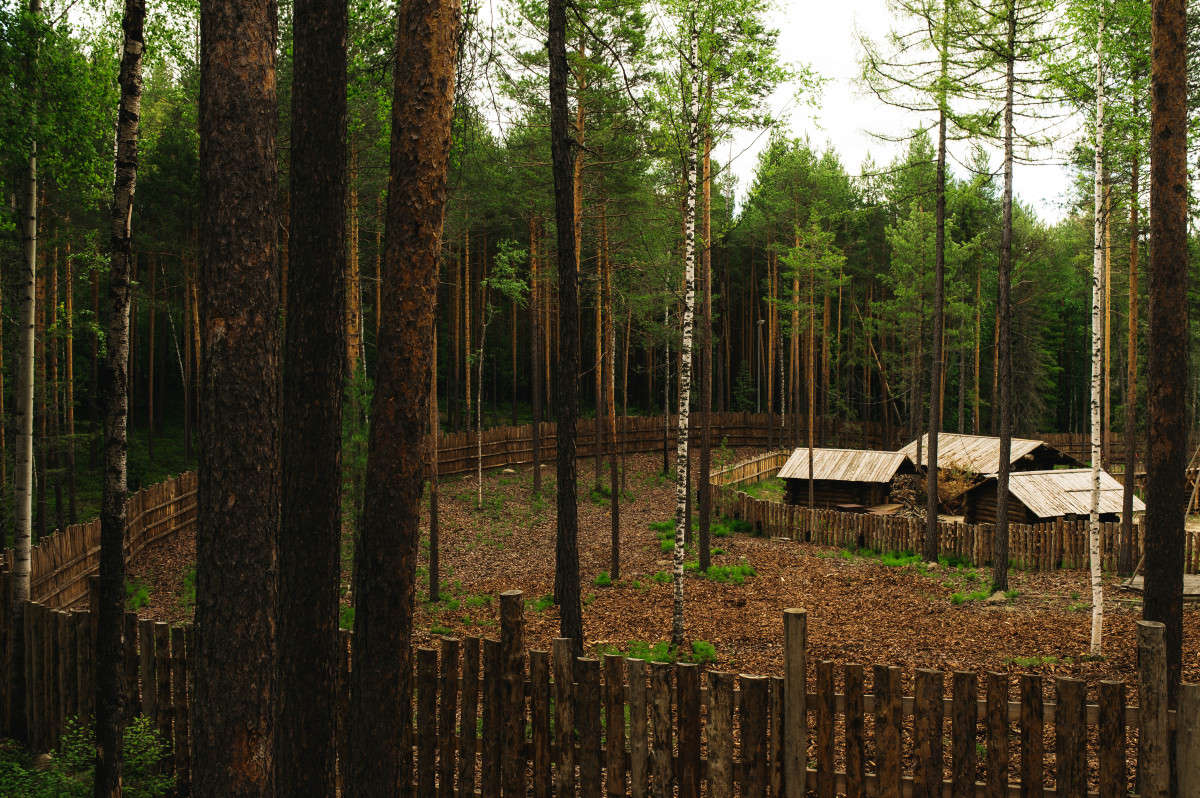image-0