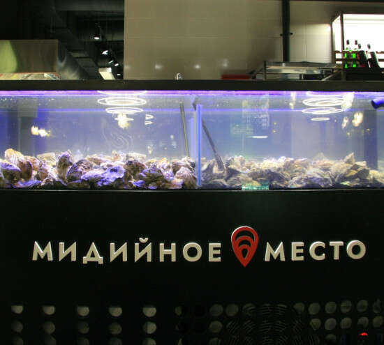 Ресторан «Мидийное место»