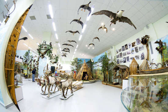 Русскинской музей Природы и Человека имени Ядрошникова Александра Павловича